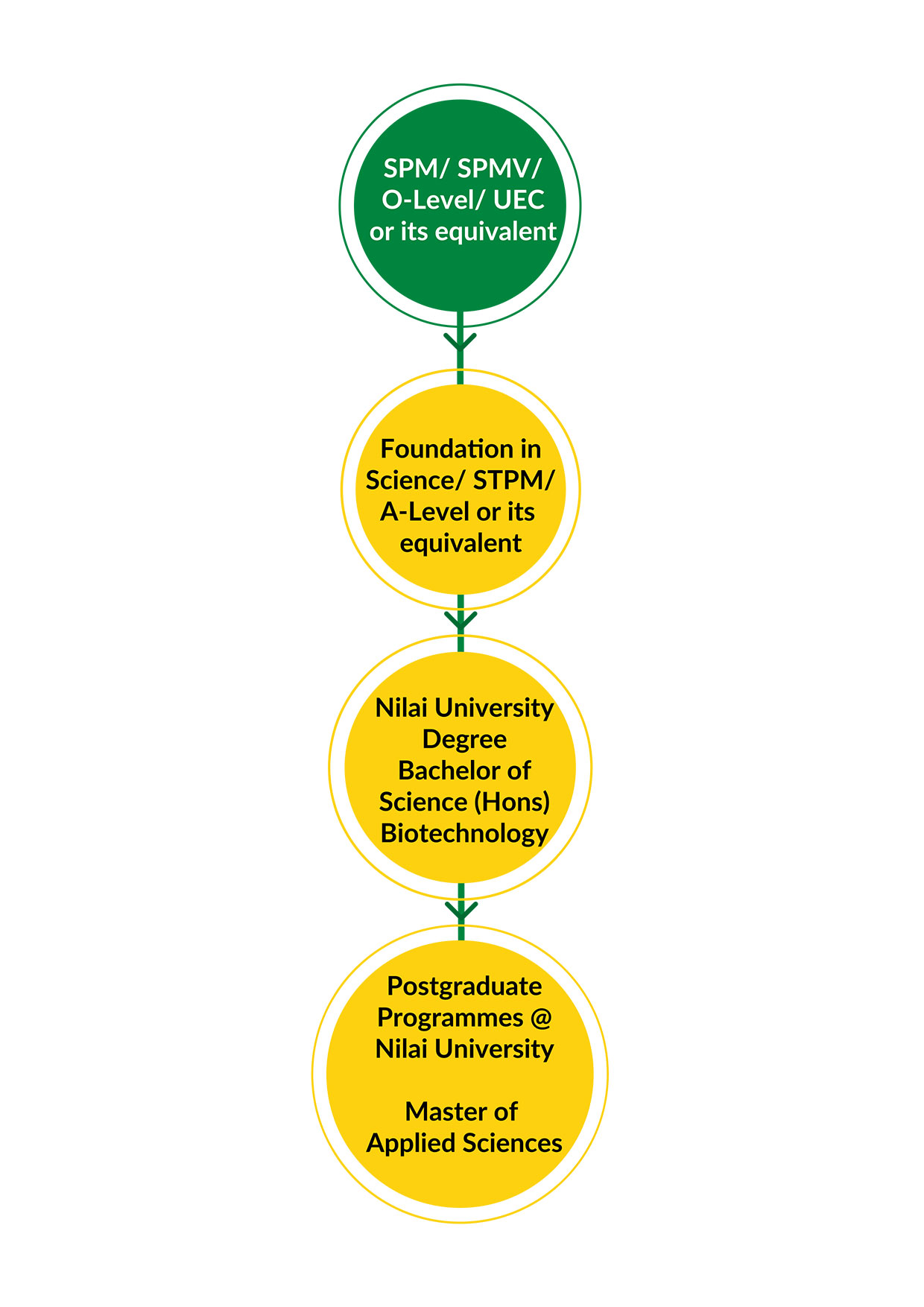 Programme Pathway