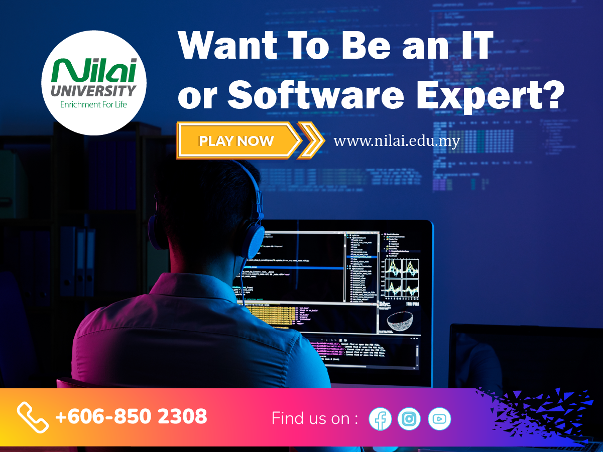 IT expert